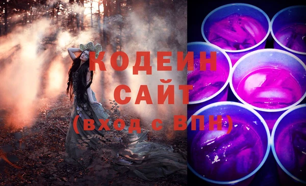 индика Приозерск