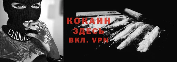 индика Приозерск