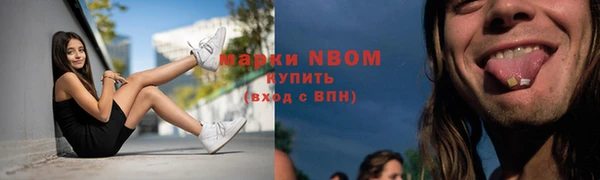 индика Приозерск