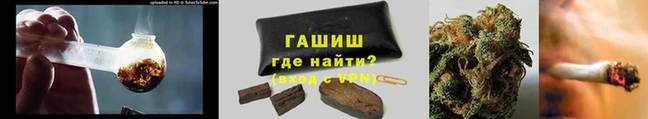 индика Приозерск