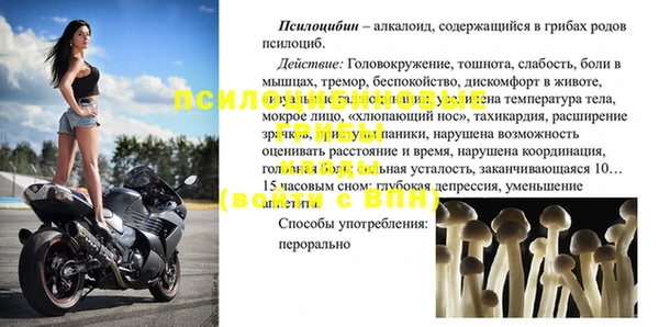 спиды Пролетарск