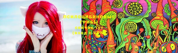 индика Приозерск