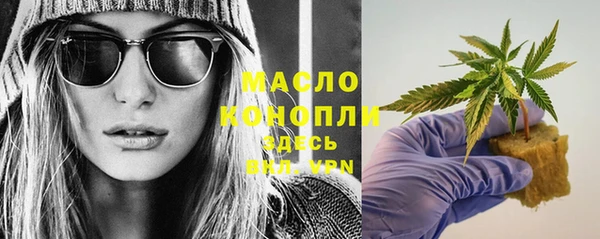 индика Приозерск