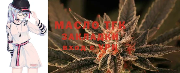 мдпв Протвино