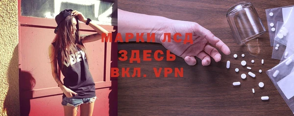 индика Приозерск