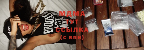 индика Приозерск